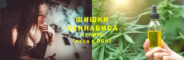 дмт Магас