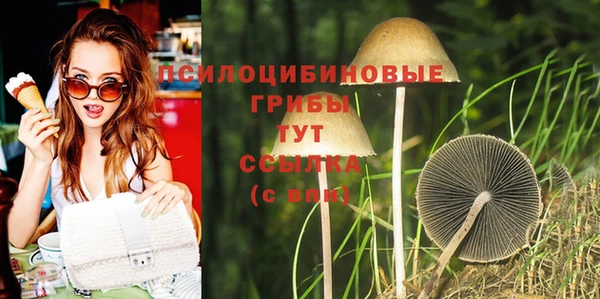 дмт Магас