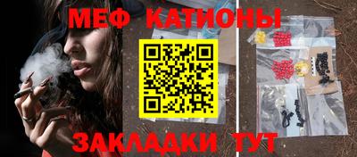 индика Гусев