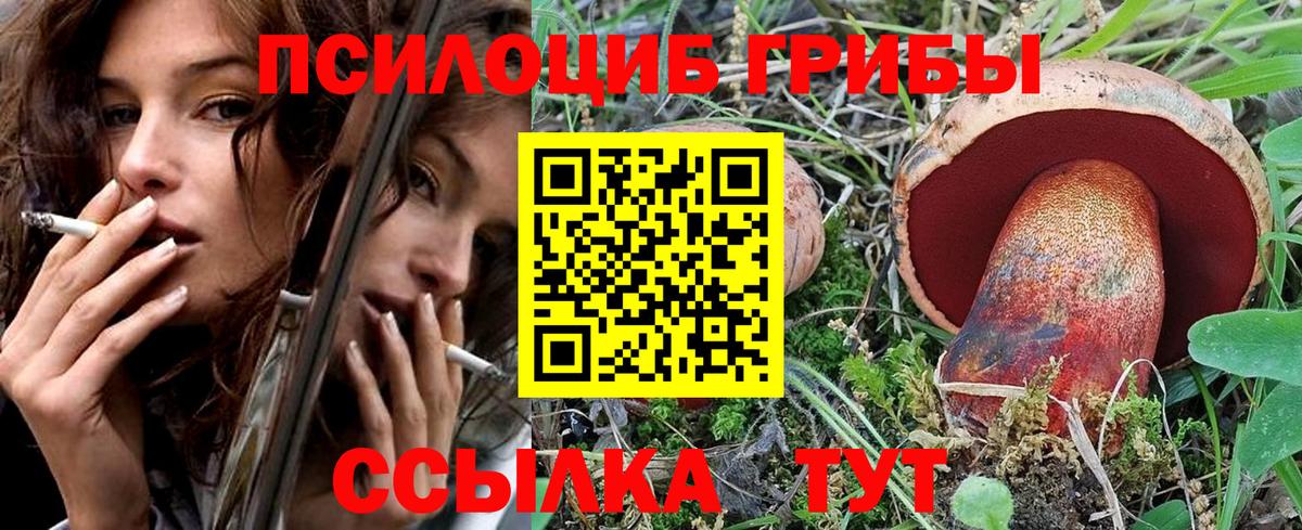 Галлюциногенные грибы Cubensis  Дубна  Галлюциногенные грибы прущие грибы 