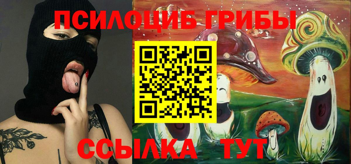 Галлюциногенные грибы MAGIC MUSHROOMS  Галлюциногенные грибы прущие грибы  Вход с VPN  Дубна 