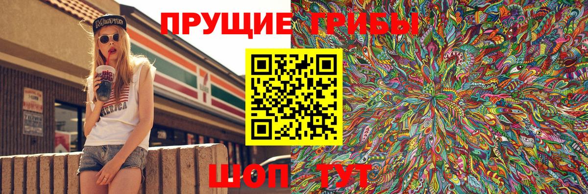 Псилоцибиновые грибы Psilocybine cubensis Дубна