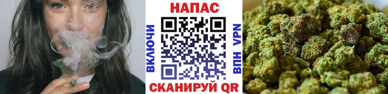 купить наркотики цена  Дубна  МАРИХУАНА ГИДРОПОН 