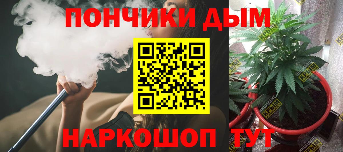 A PVP Дубна