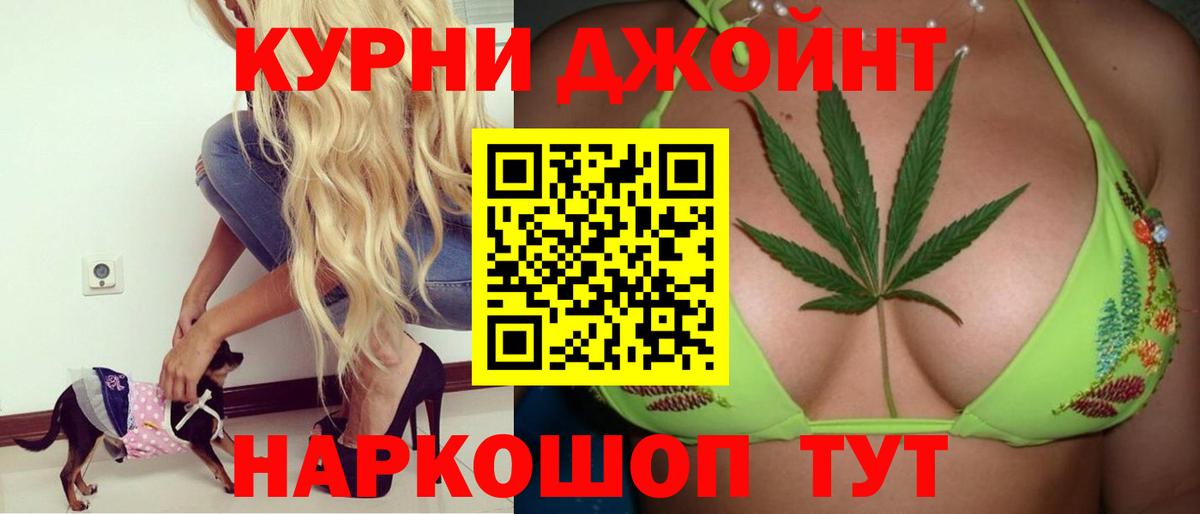 Канабис конопля Дубна